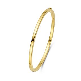 bangle scharnier vlakke buis 3,0 x 60 mm